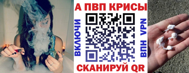 А ПВП крисы CK  hydra ONION  Сунжа 