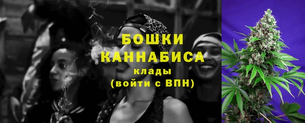 ГАЛЛЮЦИНОГЕННЫЕ ГРИБЫ Баксан