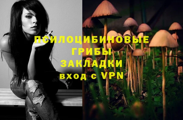 ГАЛЛЮЦИНОГЕННЫЕ ГРИБЫ Баксан