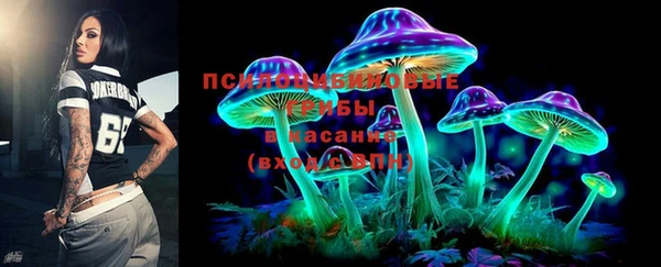 ГАЛЛЮЦИНОГЕННЫЕ ГРИБЫ Баксан