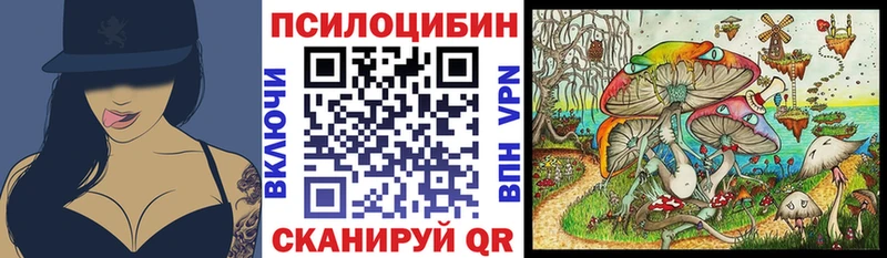 магазин  наркотиков  Сунжа  Галлюциногенные грибы прущие грибы 